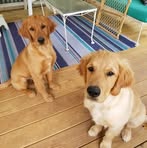 Ellen Miller Gantt - Facebook