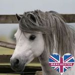 Ellen Gardiner - @rengrove_stud - Instagram
