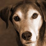 Ellen Garnett - @magix100 - Instagram