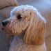 Ellen Garside - Facebook