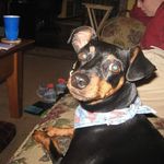 Marry Ellen Gebhardt Butler - @marryellengebhardt - Instagram