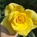 Ellena Geffner - Facebook