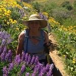 Ellen Gehringer - @egehringer2 - Instagram