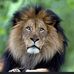 Iulian Genzinger - Facebook