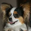 ellengiesler - @ellengiesler - TikTok