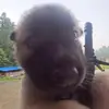 Eli Gemmill - @eli_gemmill - TikTok