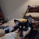 Ellen K Gentry Lawson - @ellenkgentrylawson - Instagram