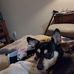 Ellen K Gentry Lawson - Facebook
