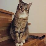 Ellen Gerhards - @ellen_gerhards - Instagram