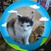 Ellen Gerhardt - Facebook