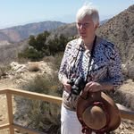 Mary Ellen Gervais - @mary.e.gervais.1 - Instagram