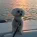 Ellen Baird Getz - Facebook