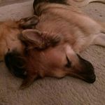 Ellen Gibbins - @ellen_gibbo - Instagram