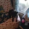 Ellen Gilbert - @ellengilbert - TikTok