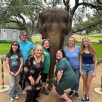 Ellen Gilliam Forsythe - @egf1954 - Instagram
