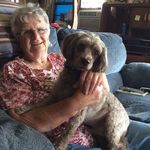 Ellen Gilliard - @ellen.gilliard.9 - Instagram