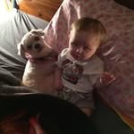 Ellen Gilliland - @gillilandellen - Instagram