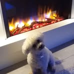Ellen Gilmour - Facebook