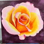 Ellen Glasser Wels - @ellen.wels - Instagram