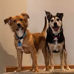 Lynn Gleason - @lynnellengleason - Instagram