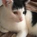 Ellen Gleave - Facebook