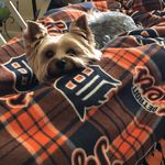 Rose Ellen Goble - @blukity48 - Instagram