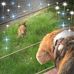 Ellen Godfrey - Facebook