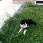 Ellen goff - @ellen_goff.1 - Instagram
