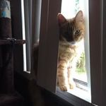 Rachelle Ellen Goins Bailey - @goinsbailey - Instagram