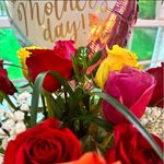 Ellen Goldman Sweetser - @lnsweets - Instagram