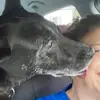 Ellen Gollust Shea - @ellen.gollust.she - TikTok