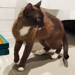 Ellen Gong - @ellen3gz - Instagram