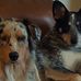 Ellen Gonzales - Facebook