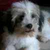 @ThriftniMenggay - @ellen_gonzales77 - TikTok