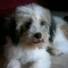 Yam - @ellengonzales06 - TikTok