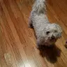 Ellen Gonzalez - @ellen_zg - TikTok