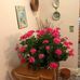 Ellen Goode - Facebook