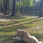 Ellen Goodermuth - @ellengoodermuth - Instagram