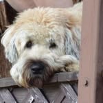 Mariellen Gorham Mckenney - @mariellen1960 - Instagram