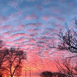 Ellen Gorman - @pleasing.photos - Instagram