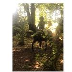 Ellen Gorman - @ellen_showjumping_ - Instagram