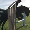 Ellen_gorman🐴 - @ellengor13 - TikTok