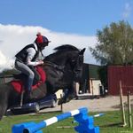 Ellen Gorman 🐎 - @_ellengorman - Instagram