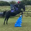 Ellen_gorman🐴⚽️ - @ellen_gorman8 - TikTok