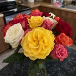 Ellen Ryan Gorman - @ellen.gorman.97 - Instagram