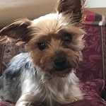 Mary Ellen Gorman McMaster - @gormanmcmaster - Instagram