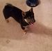 Ellen Gosselin - Facebook