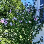 Ellen Gott - Facebook