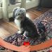 Ellen Gott - Facebook