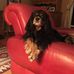 Ellen Gottas - Facebook